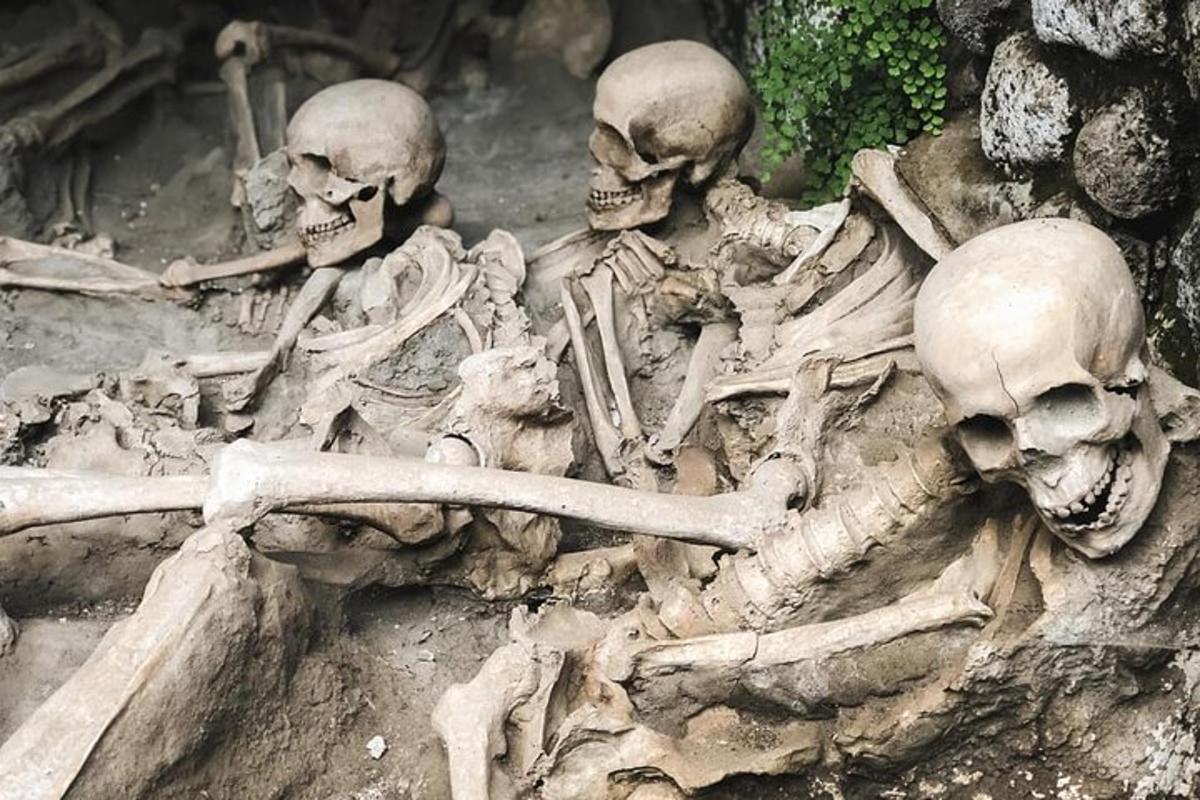a bunch of skeletons laying in the dirt