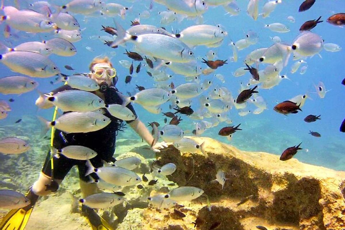 seseorang yang berdiri di dalam air dengan sekumpulan ikan