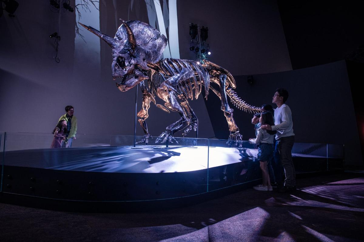 a statue of a dinosaur on display at a museum