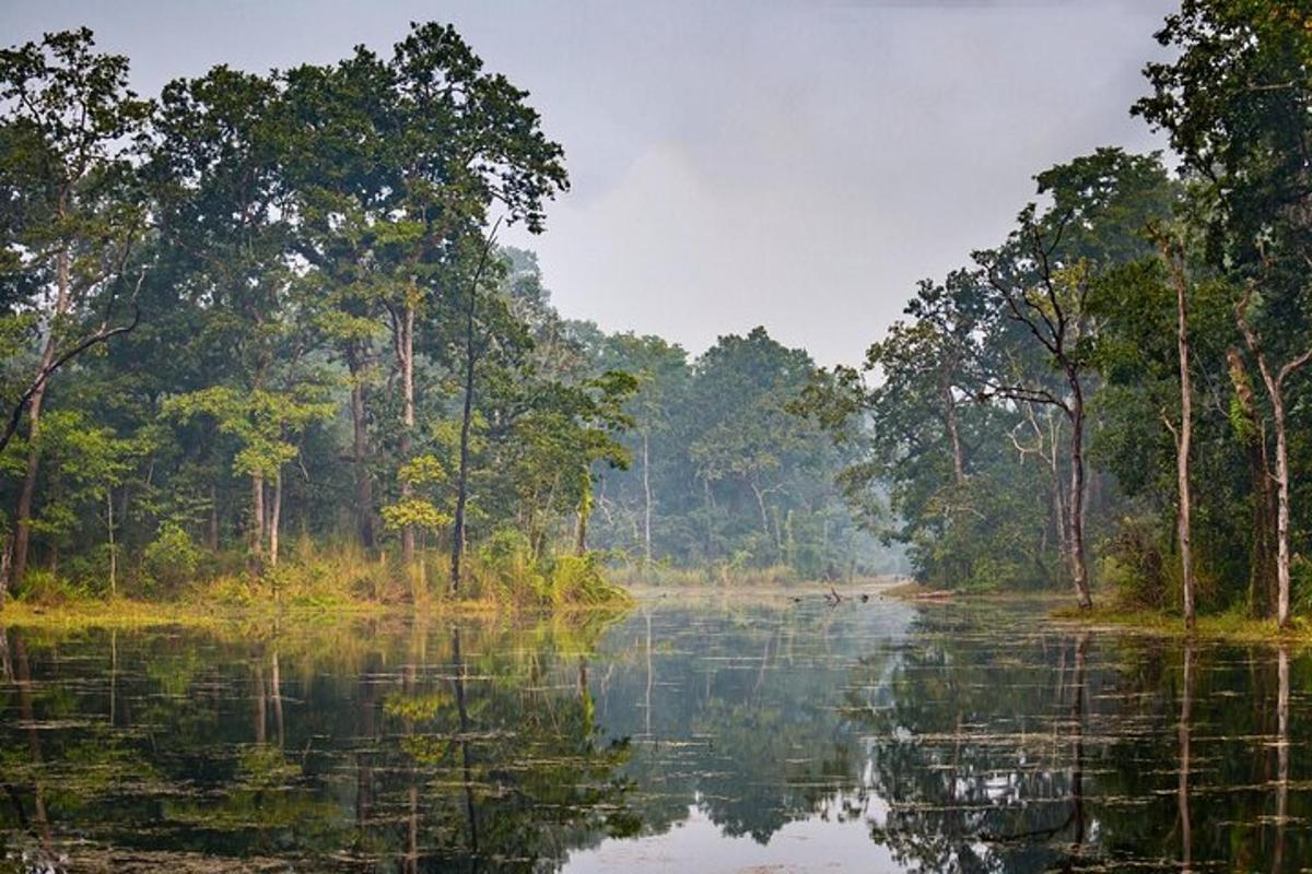 uno specchio d'acqua con alberi sullo sfondo