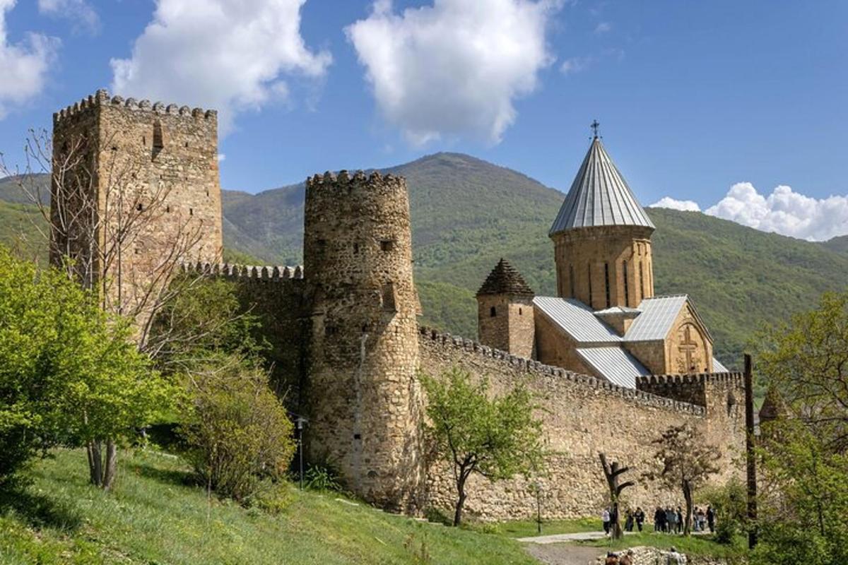 a large castle with two towers on a hill