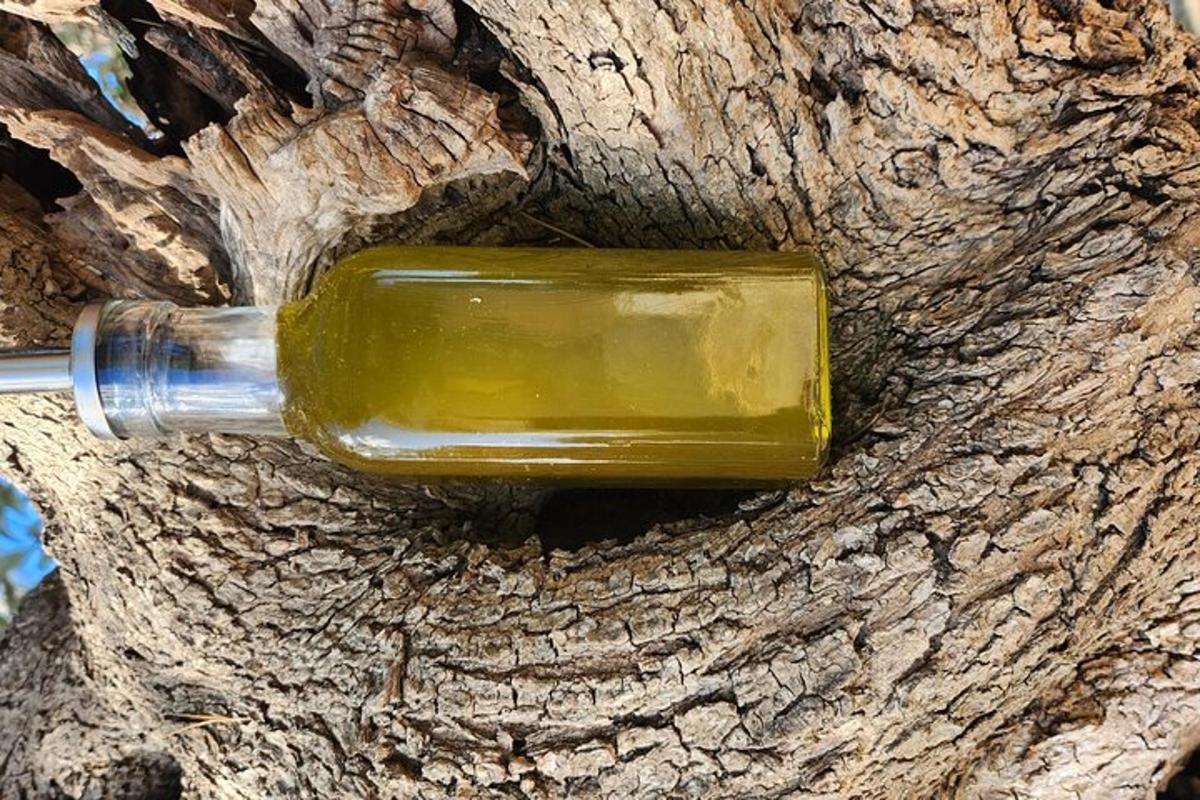 una ampolla d'oli d'oliva en un arbre