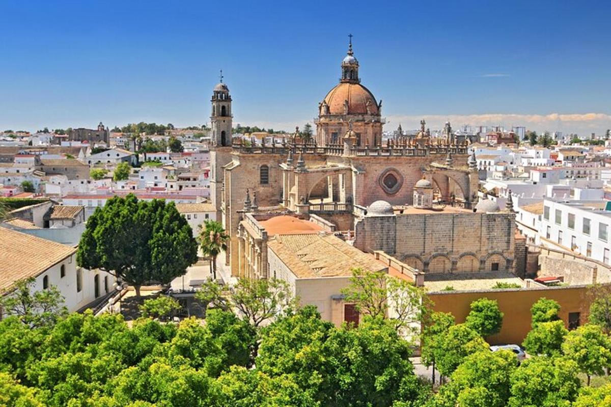 a view of a city with a cathedral and buildings