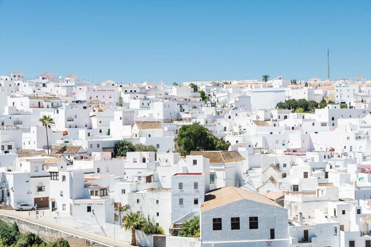 a group of white buildings in a city