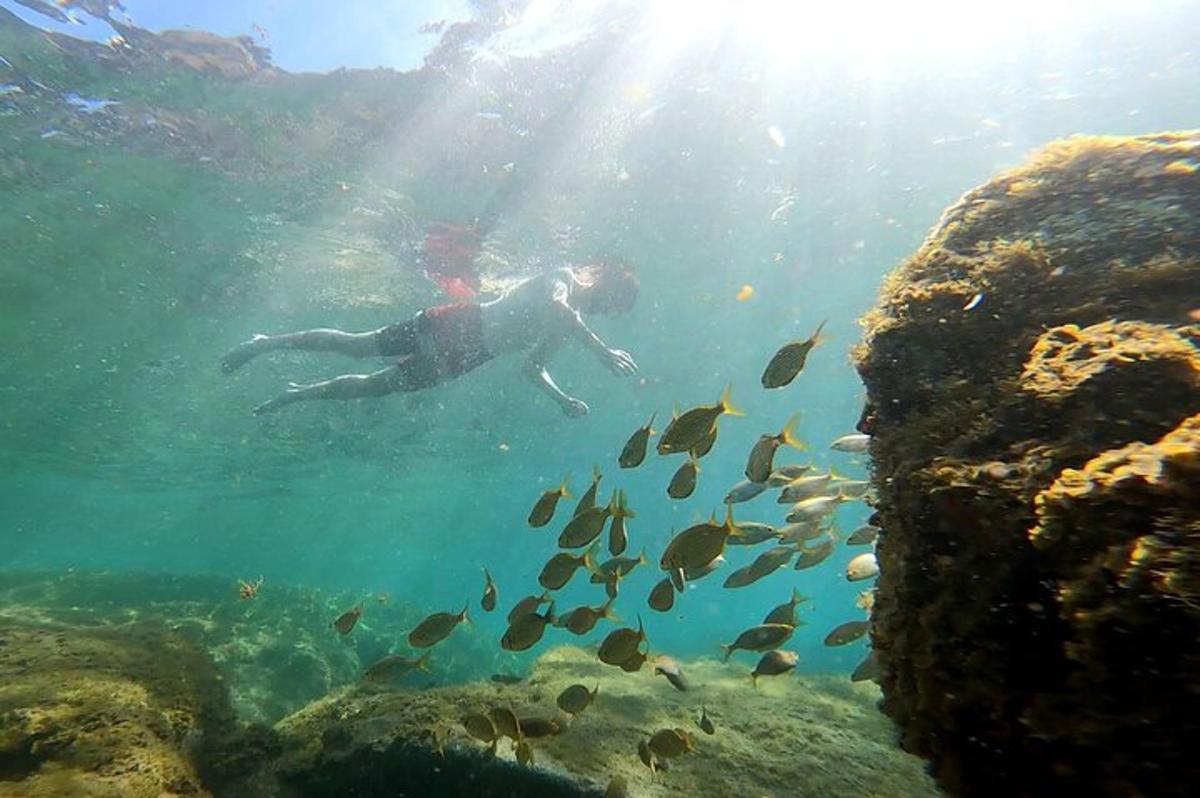 una persona nadando en el agua con un grupo de peces