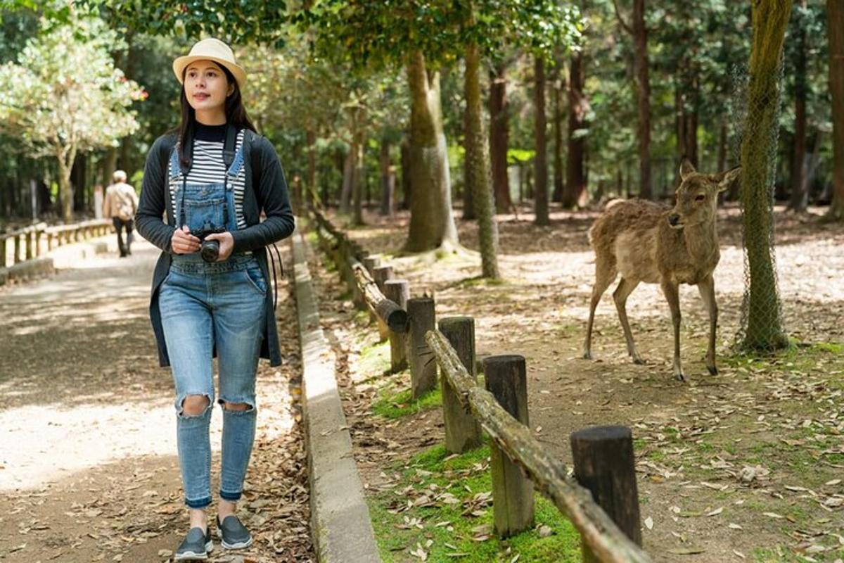 eine Frau, die vor einem Hirsch einen Weg entlanggeht