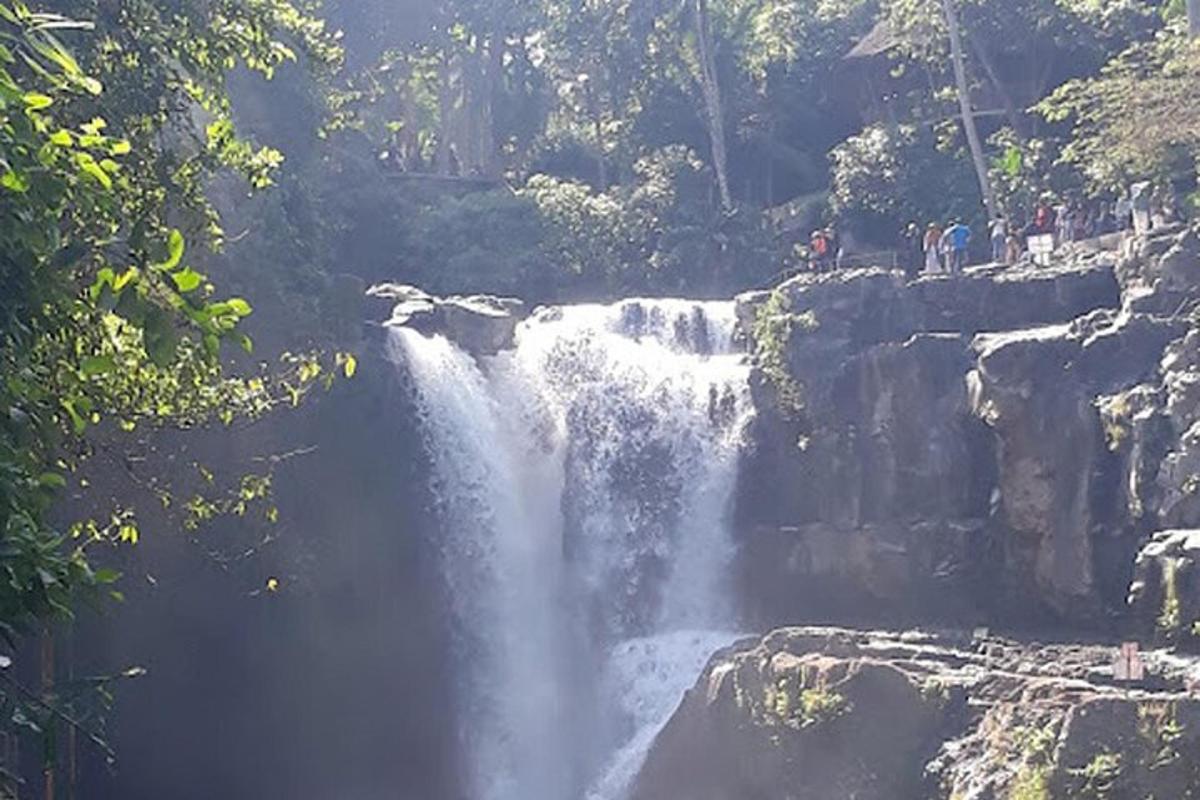 Una cascada con gente parada frente a ella.