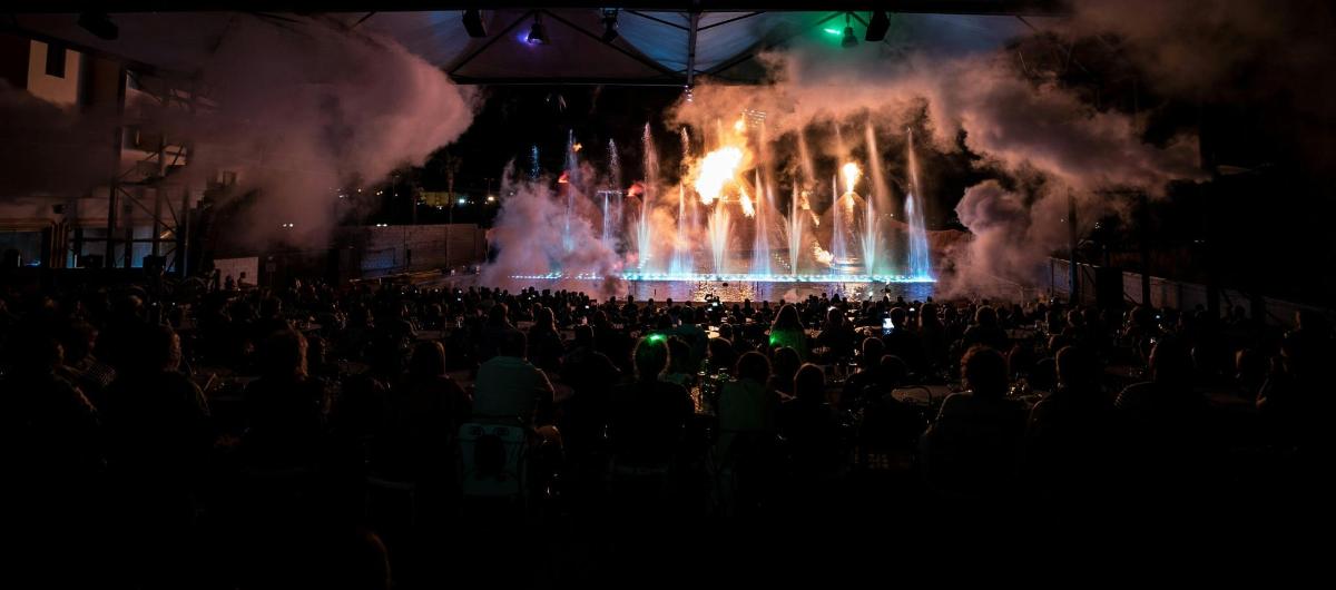 a crowd of people watching a concert with flames