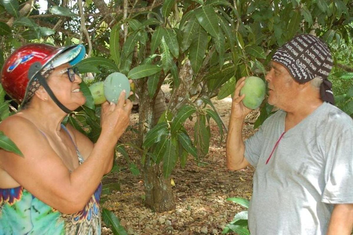 two women are eating fruit from a tree