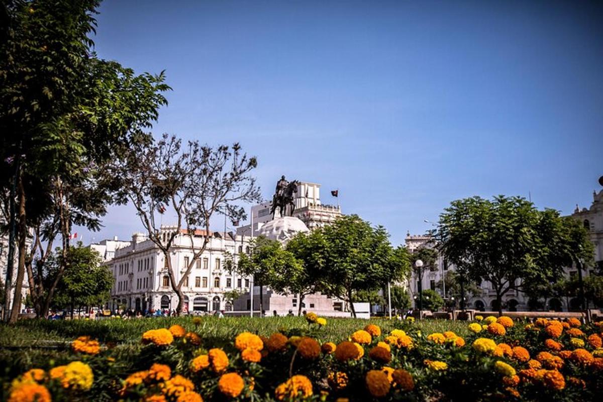 a field of flowers with buildings in the background