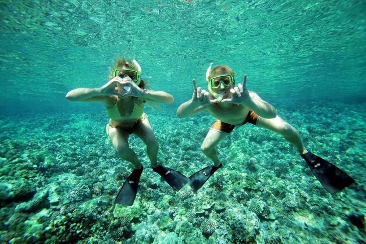 două femei în apă cu pisici de mare