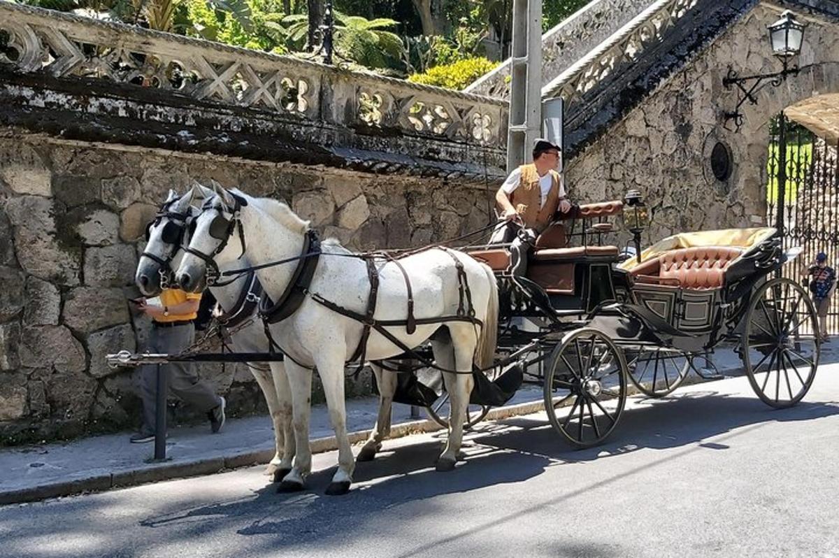 moški v kočiji s konjsko vprego na ulici