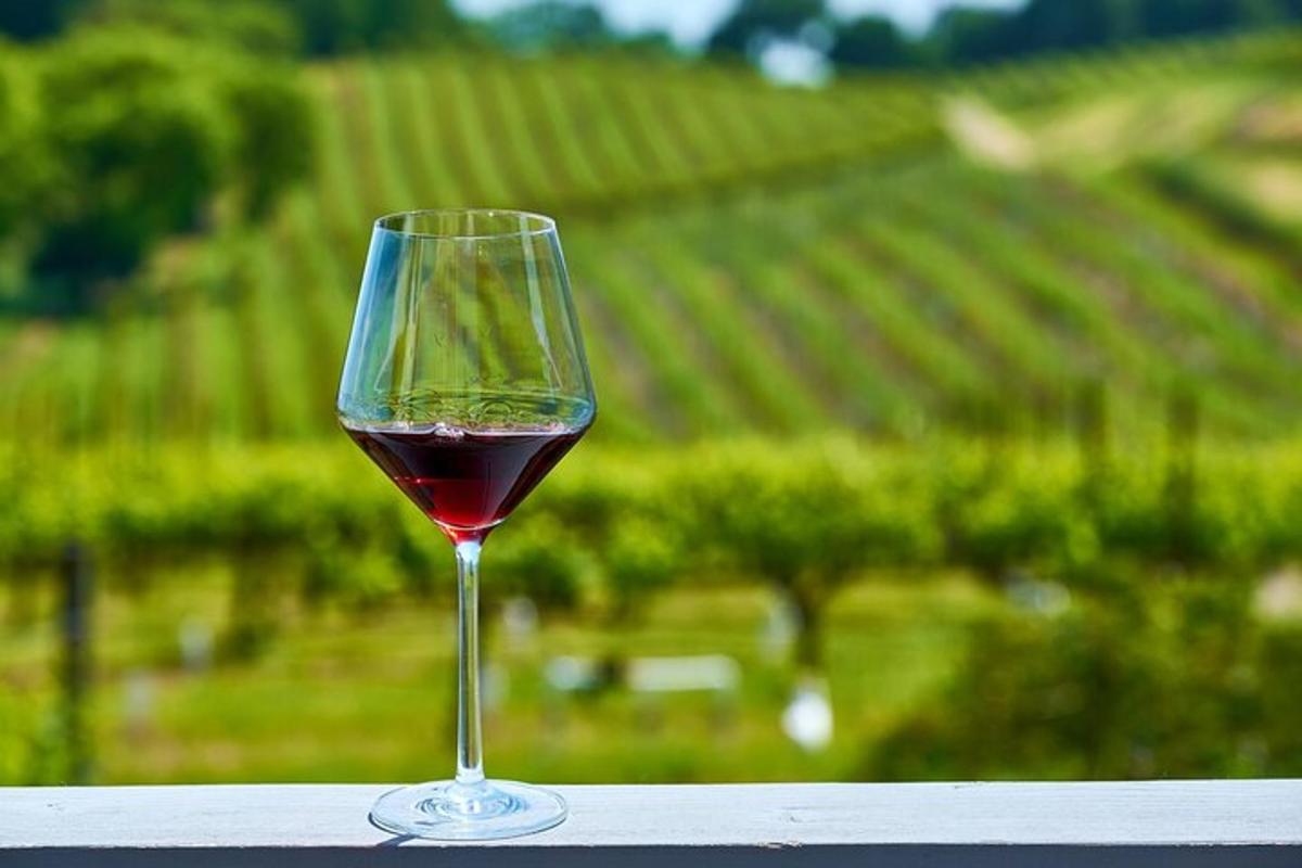 et glass vin som står på et bord foran en vingård