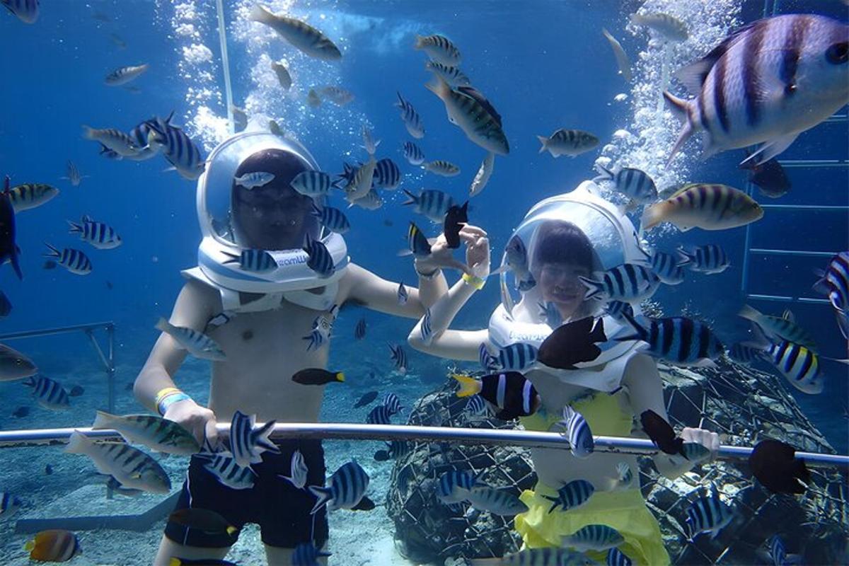 due bambini che giocano con i pesci in un acquario
