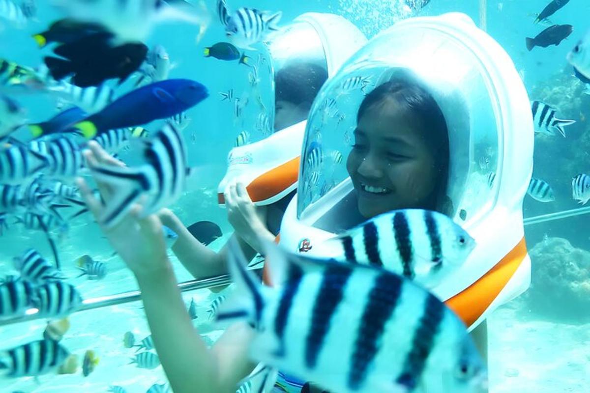 Una niña en un acuario mirando peces