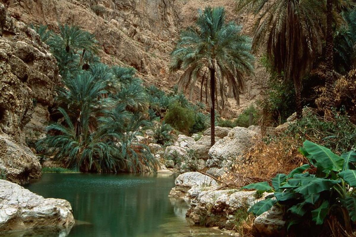 a pool of water with palm trees in a canyon