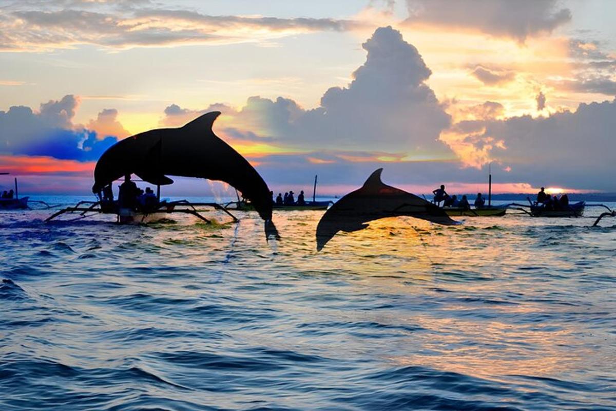 two dolphins playing in the water at sunset