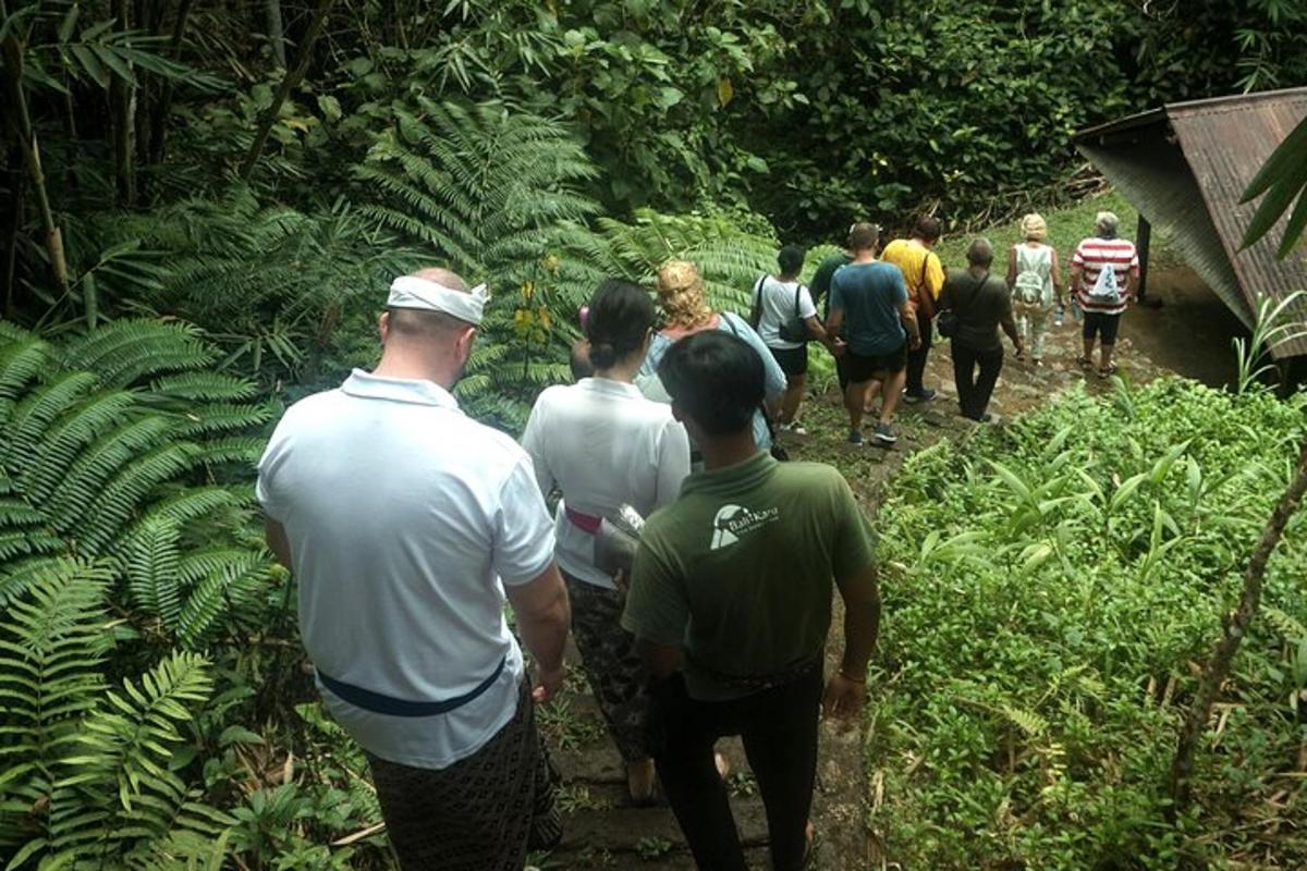 a group of people walking down a trail in the jungle