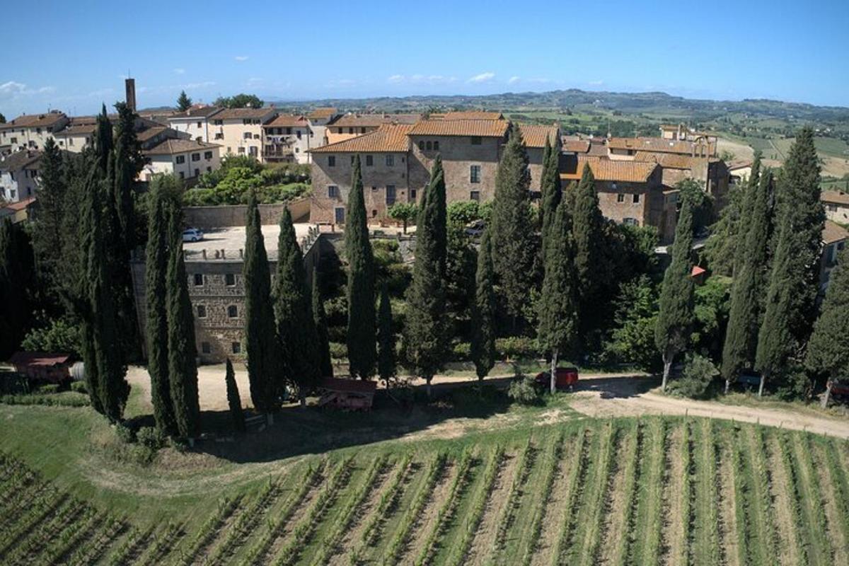 un gruppo di alberi in un campo accanto a un edificio