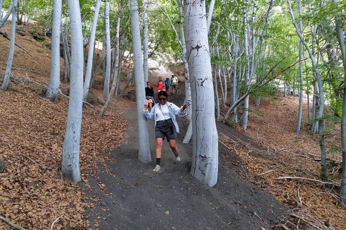 un home corrent per un bosc d'arbres blancs