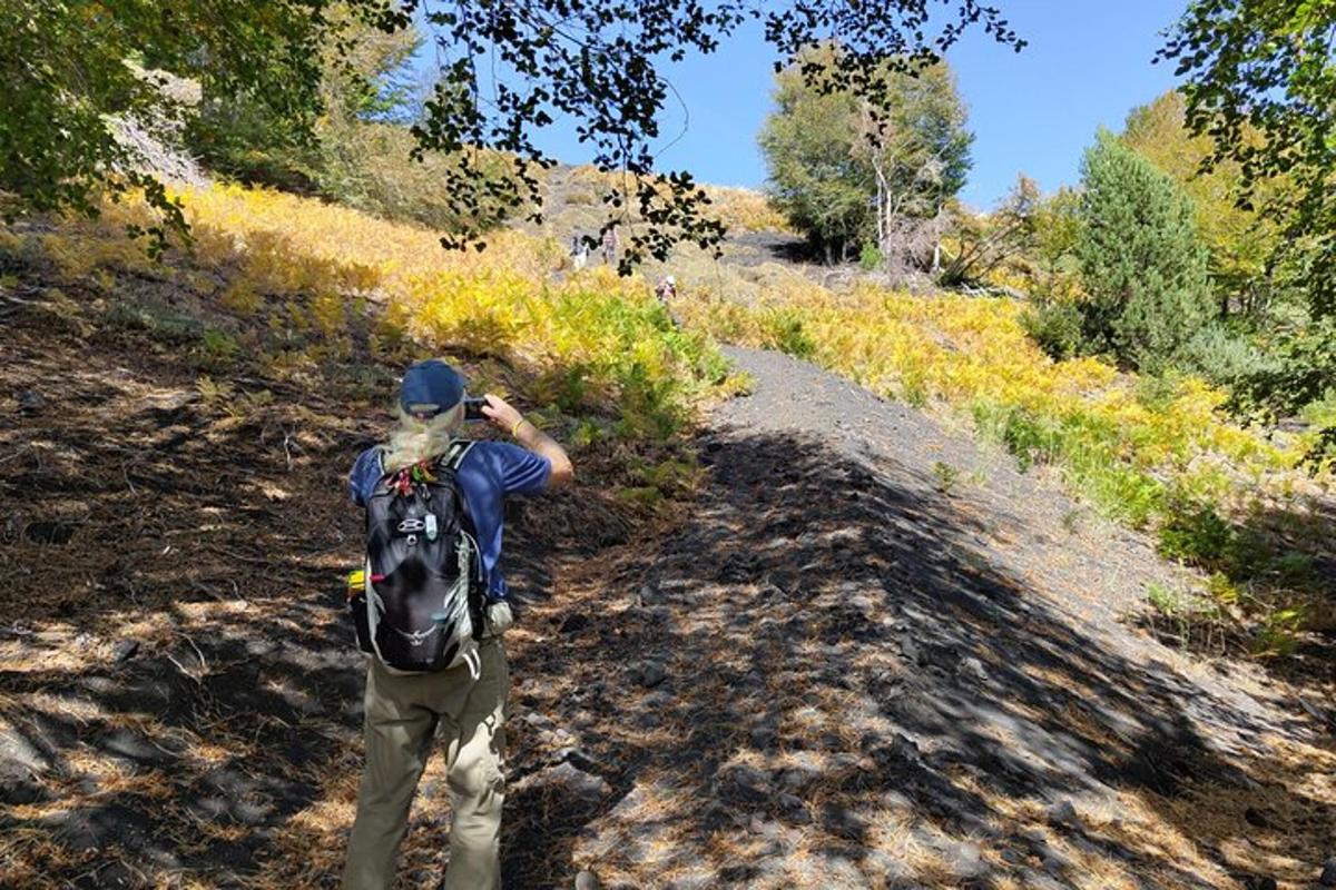 una persona amb un cavall per un camí de terra