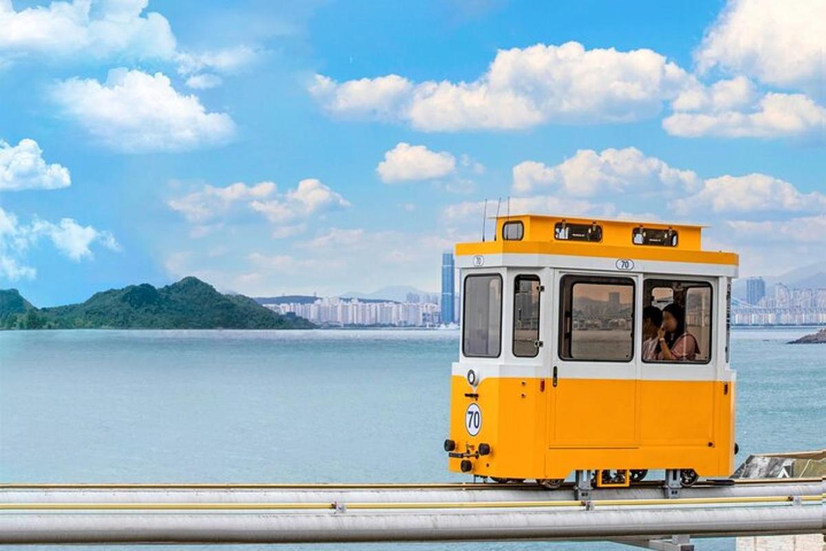 투어 액티비티 사진 4번