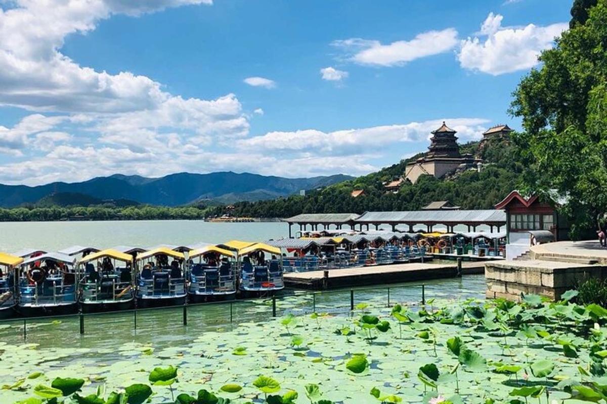 一群船停在长满睡莲的湖面上
