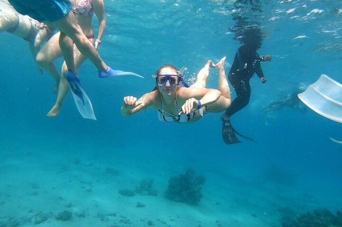 un grup de oameni care înoată în apă