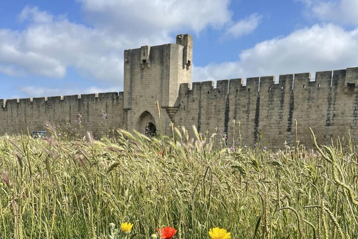 un grande castello con un alto muro di pietra