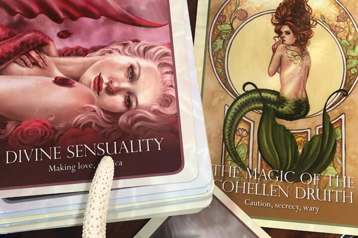 dos libros encima de un estante