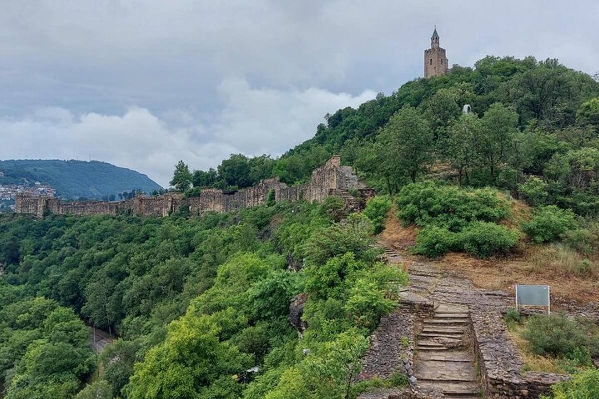 un castello in cima a una collina con alberi