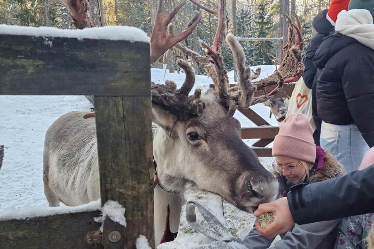 a woman is feeding a deer in the snow