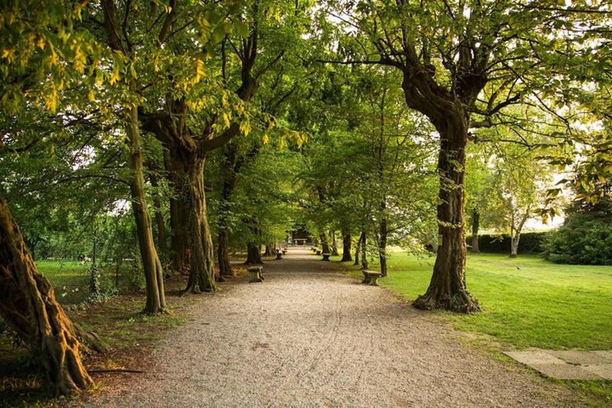 egy ösvény egy parkban fákkal és padokkal