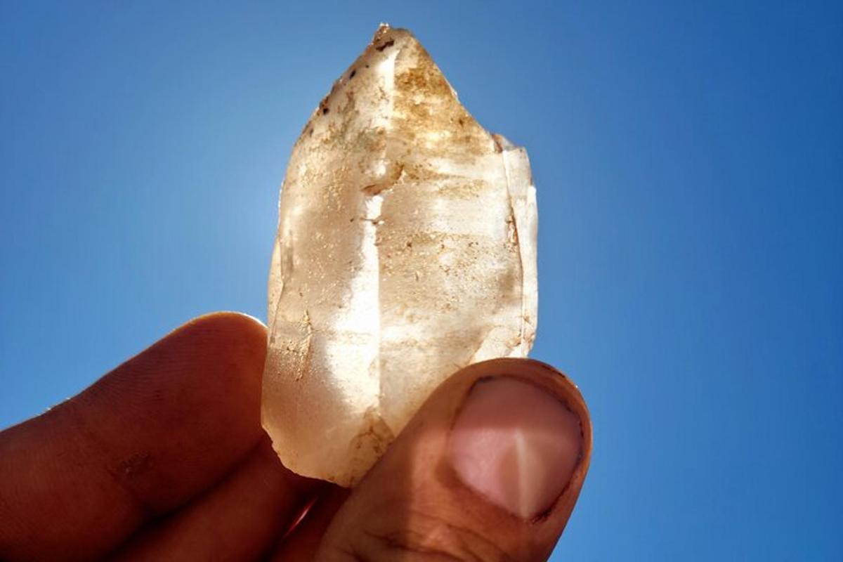 una persona che tiene un pezzo di cibo in mano