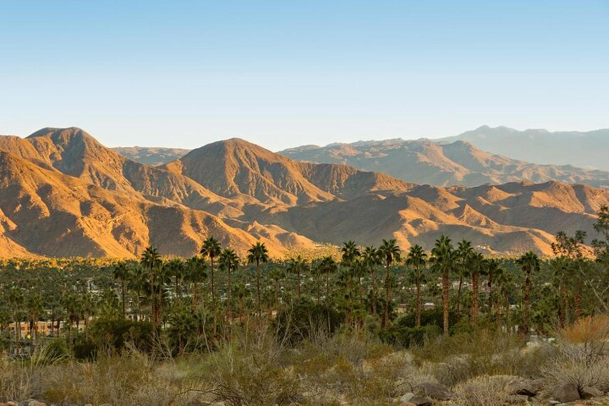 a mountain range with palm trees in the foreground