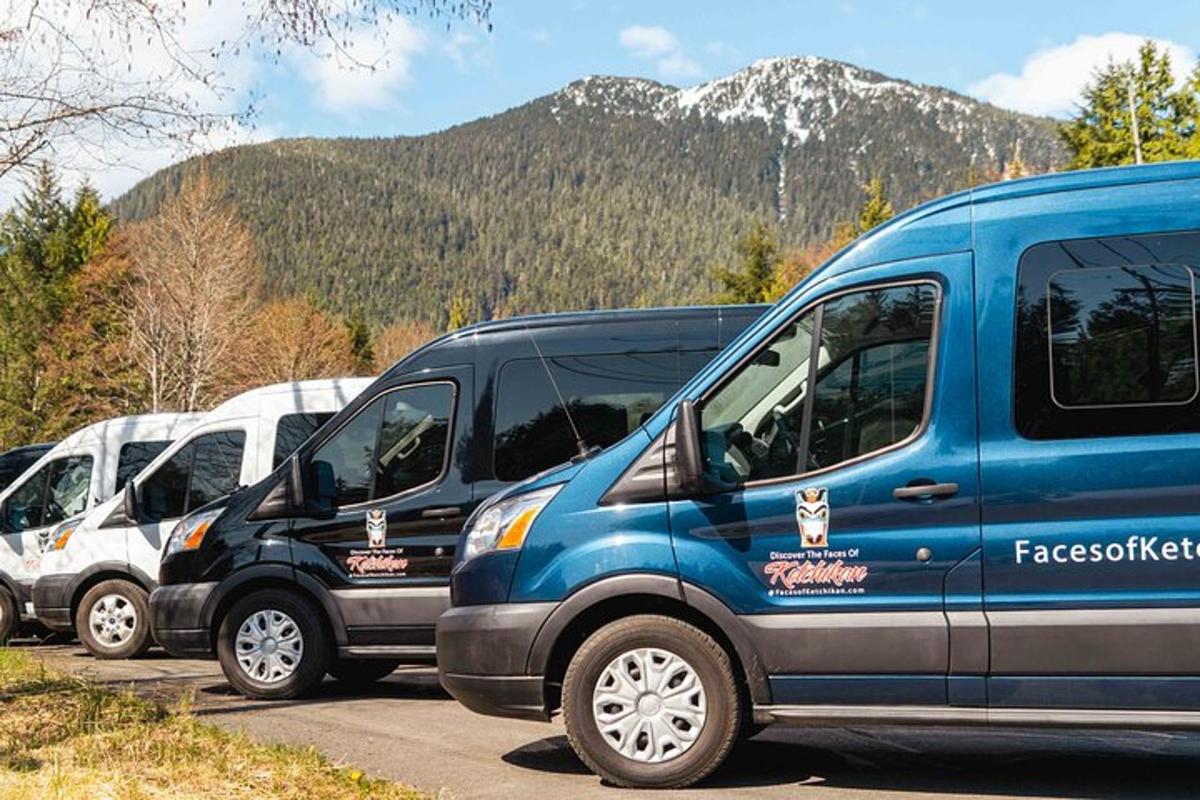 a row of parked vans parked in a parking lot