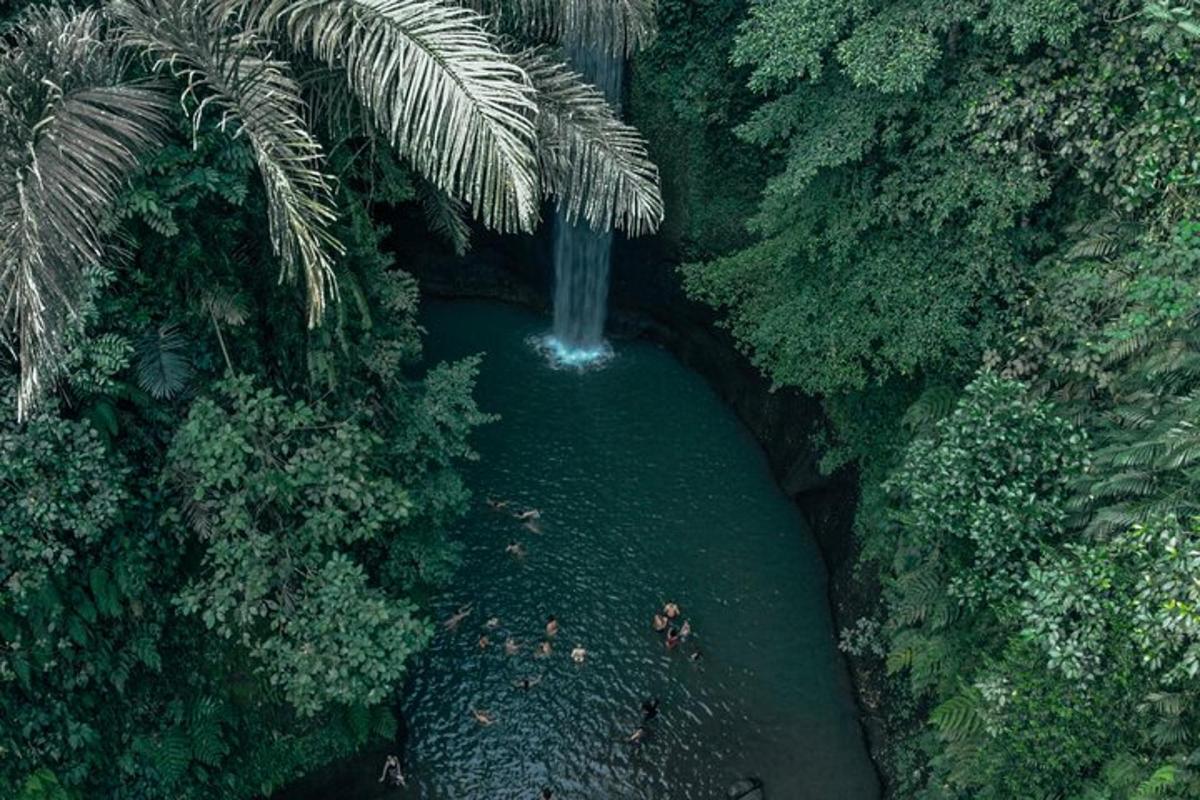 pemandangan udara air terjun di tengah-tengah hutan