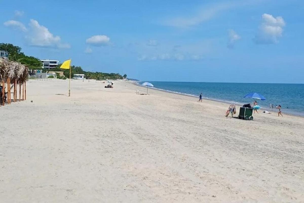 ชายหาดทรายที่มีผู้คนนั่งอยู่ใต้ร่มและทะเล