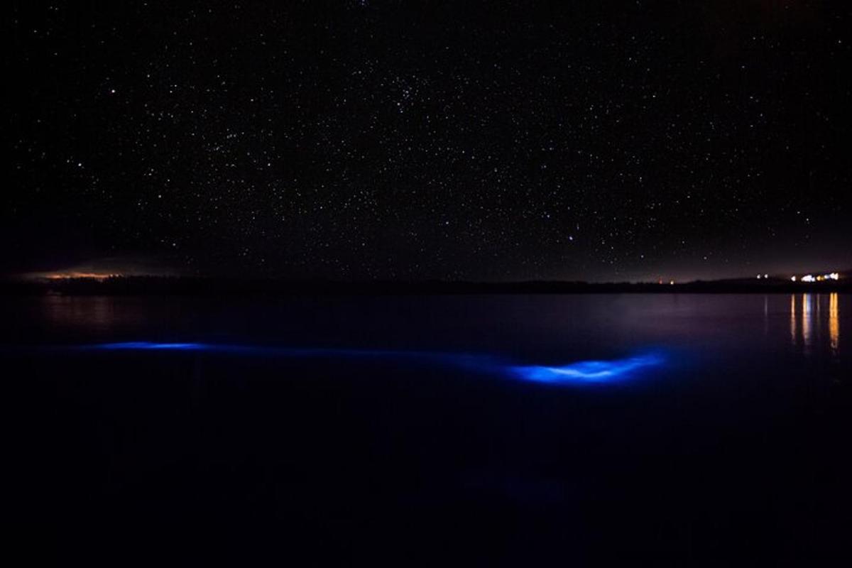 Una noche estrellada con una luz azul en el agua.