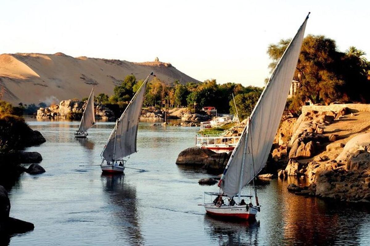 مجموعة من القوارب الشراعية الصغيرة على النهر