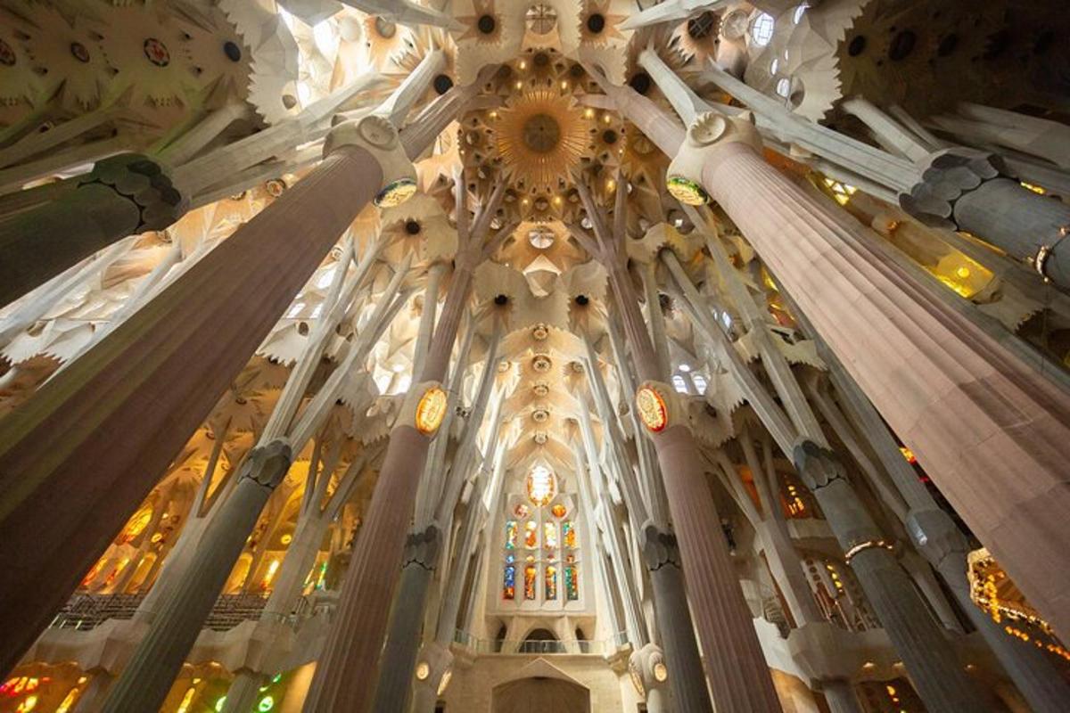 Foto 6 de l'atracció turística