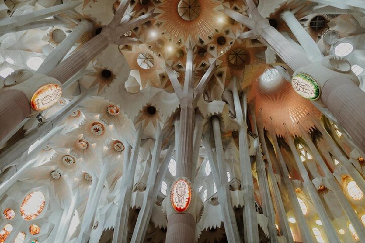 Foto 7 de l'atracció turística