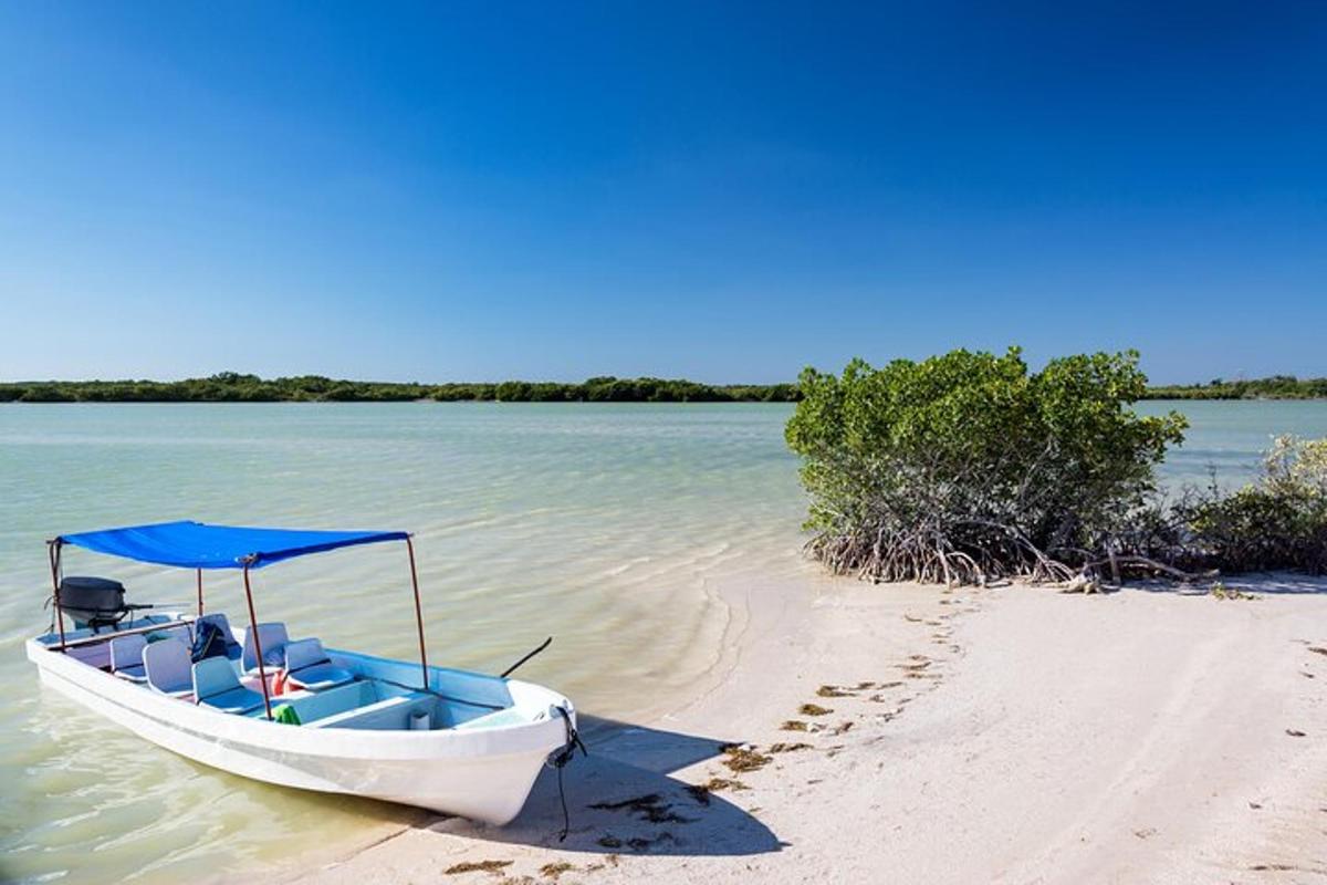 sebuah perahu yang duduk di atas pasir di pantai