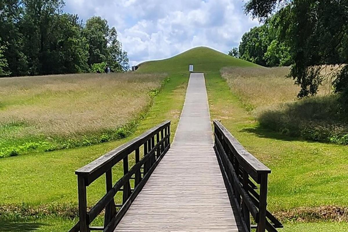a wooden boardwalk in a field with a bridge