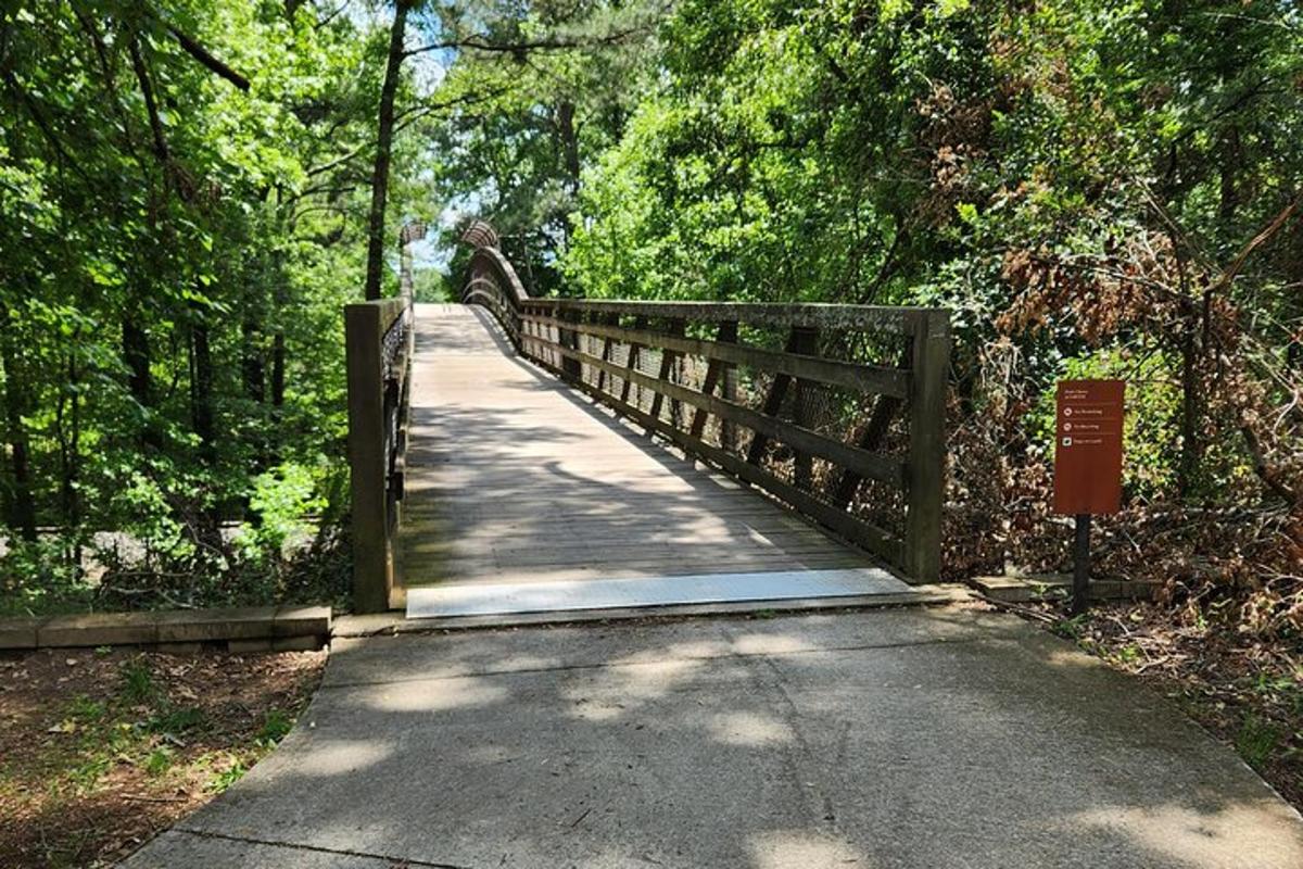 a bridge over a path in a park with trees