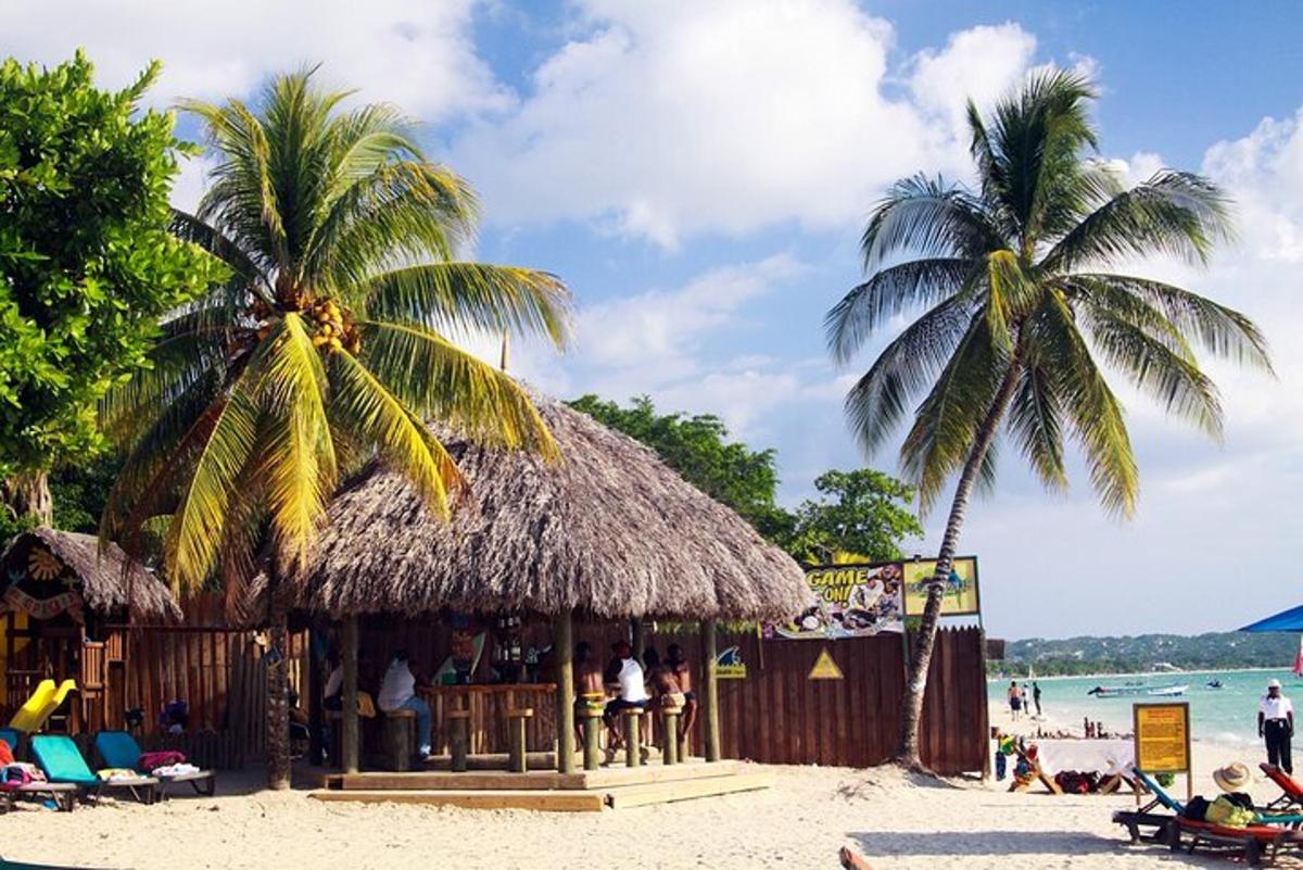 a bar on a beach with a palm tree