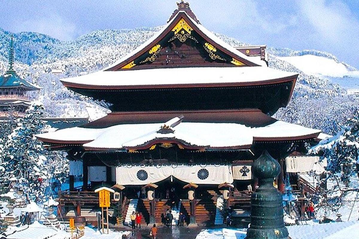 una pagoda con la neve in cima