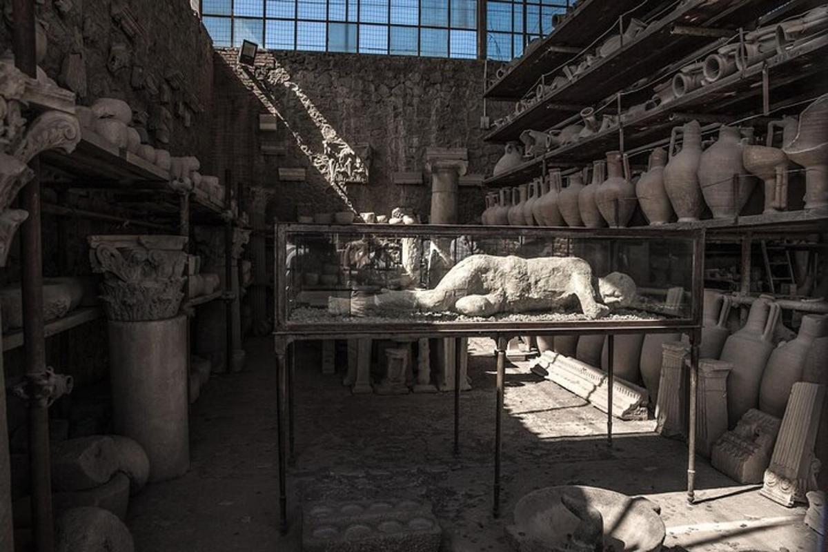 muuseum, mille riiulil lebas lõvi