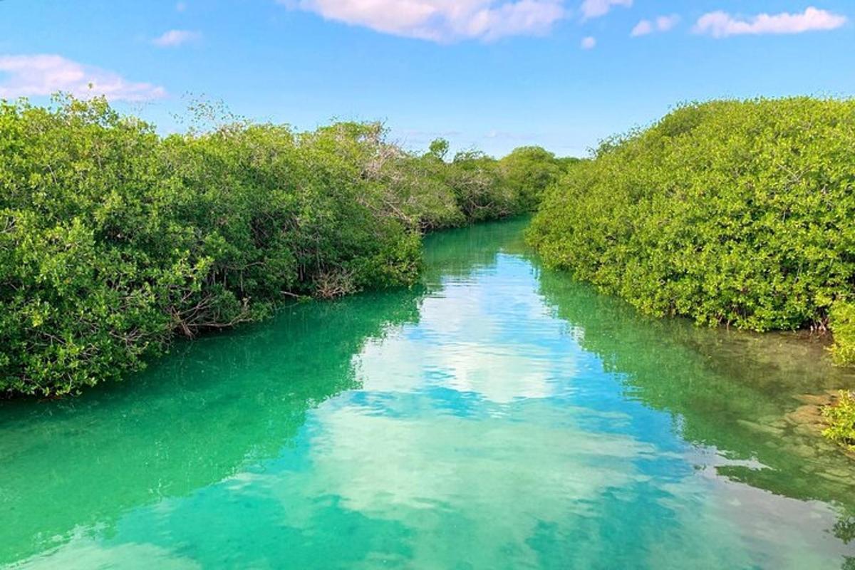 un fiume con acqua turchese e alberi verdi