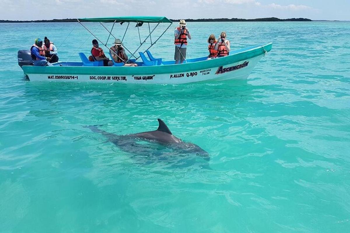 un gruppo di persone su una barca con un delfino in acqua
